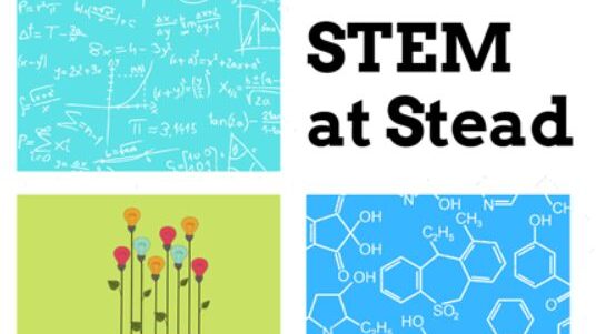 image of STEM at stead logo