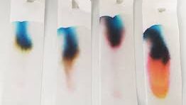 image of ink pen chromatography