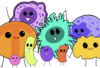 Day in the Life of a Bacterium