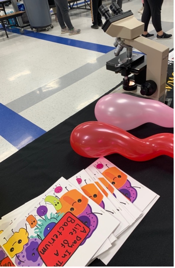 image from Lincoln Elementary STEAM night showing balloon's and copy of book